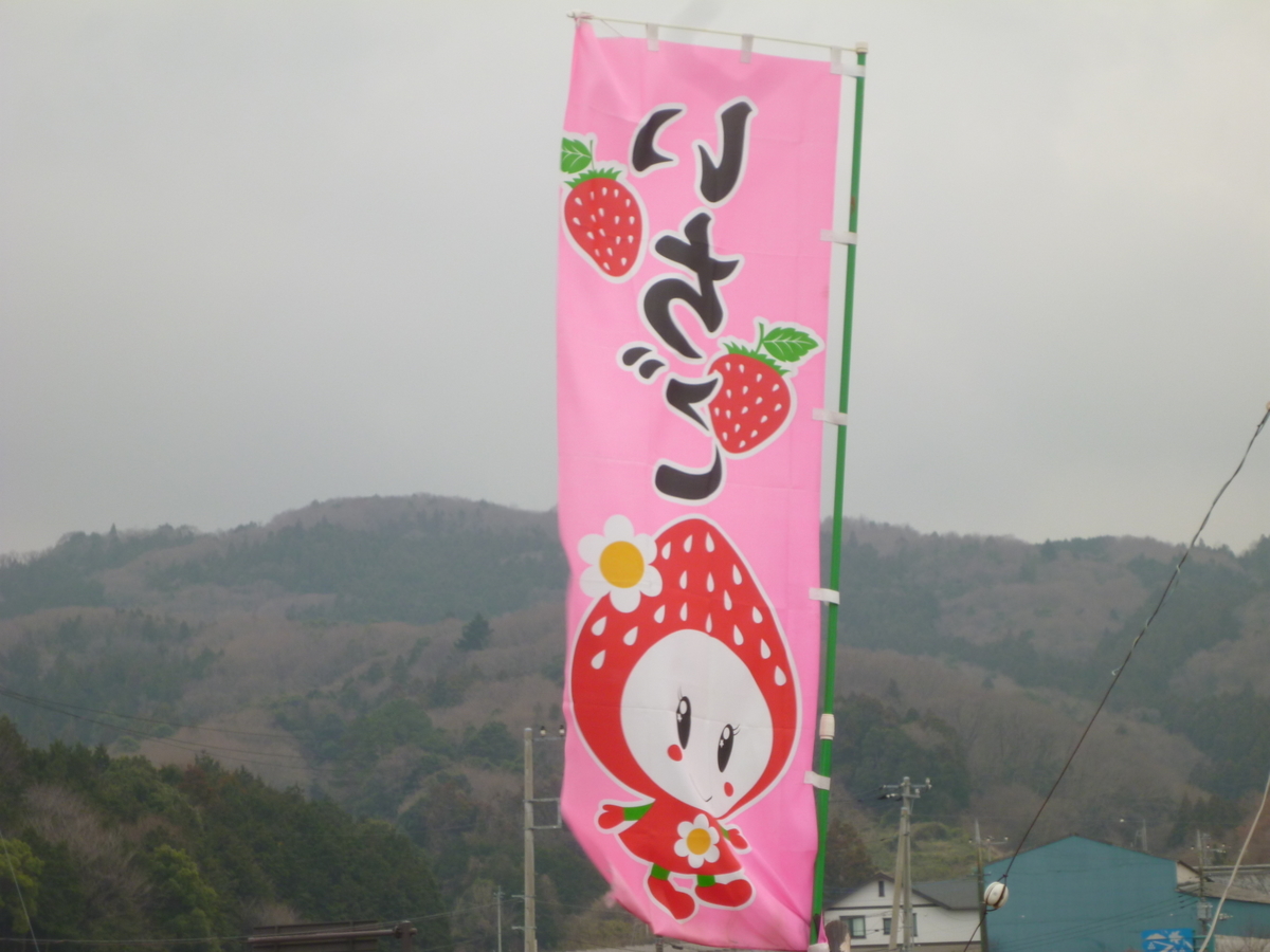 f:id:karamomonikki:20190314165900j:plain f:id:karamomonikki:20190314165900j:plain