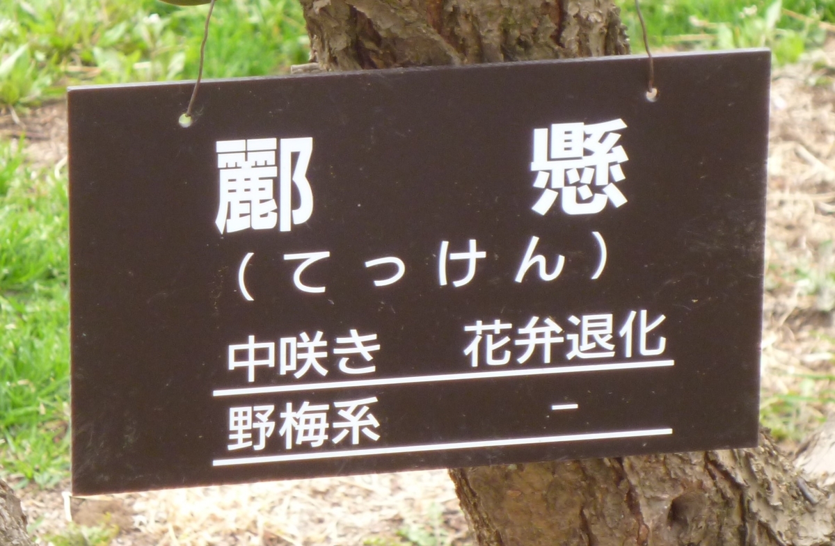 f:id:karamomonikki:20190314170419j:plain f:id:karamomonikki:20190314170419j:plain