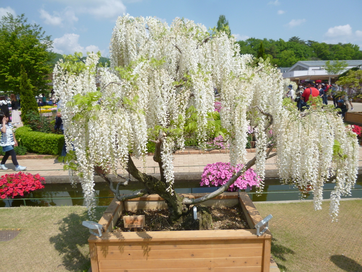 f:id:karamomonikki:20190510090746j:plain f:id:karamomonikki:20190510090746j:plain