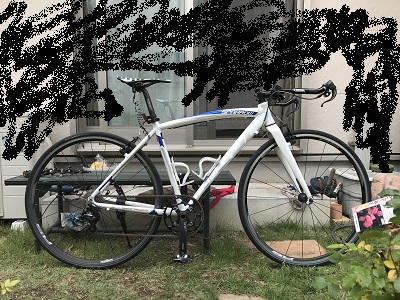 f:id:karapachi:20190610105642j:plain
