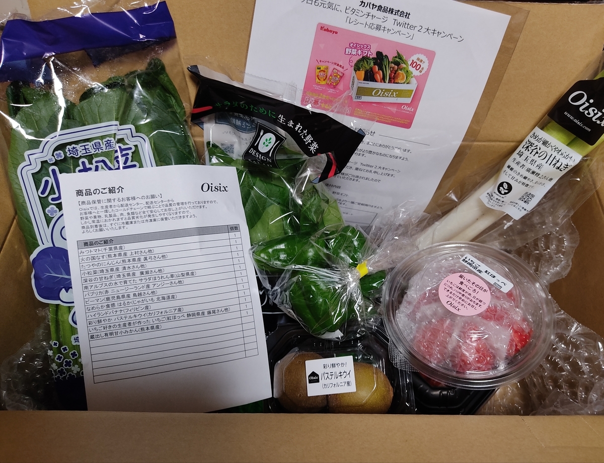 f:id:karappooo:20210305192721j:plain