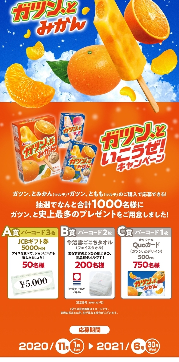 f:id:karappooo:20210513204632j:plain