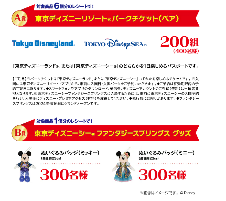 東京ディズニーランド 東京ディズニーシー ワンデーパスポート