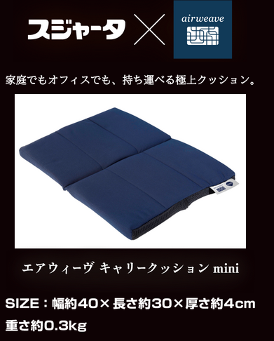 懸賞情報 スジャータめいらくエアウィーヴ キャリークッション