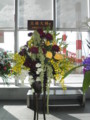 f:id:karari-kara:20110903145358j:image:medium:left f:id:karari-kara:20110903145358j:image:medium:left