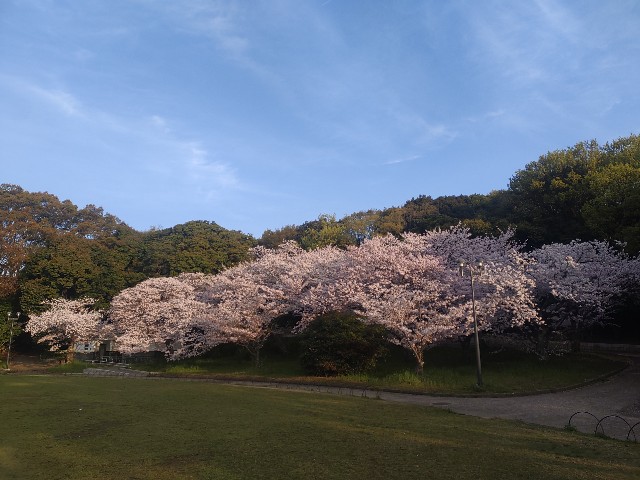 f:id:kararink:20240413070253j:image f:id:kararink:20240413070253j:image