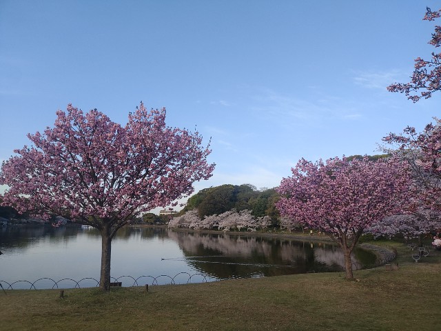 f:id:kararink:20240413070531j:image f:id:kararink:20240413070531j:image