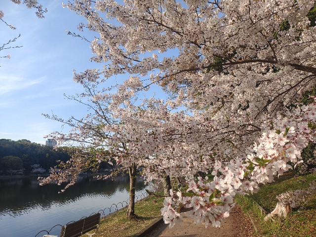 f:id:kararink:20240413070617j:image f:id:kararink:20240413070617j:image
