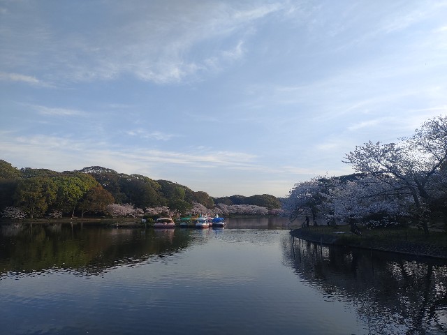 f:id:kararink:20240413070700j:image f:id:kararink:20240413070700j:image