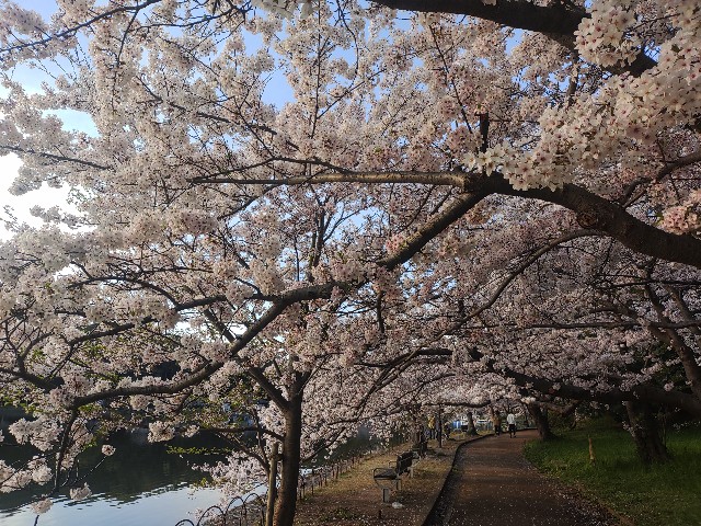 f:id:kararink:20240413071713j:image f:id:kararink:20240413071713j:image