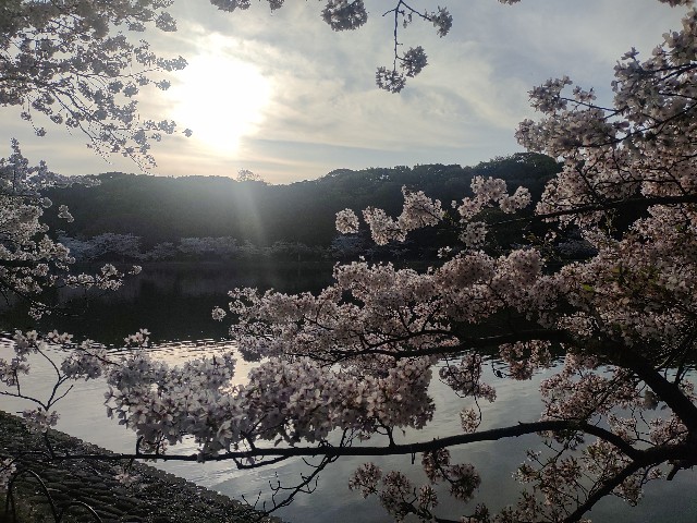 f:id:kararink:20240413071751j:image f:id:kararink:20240413071751j:image