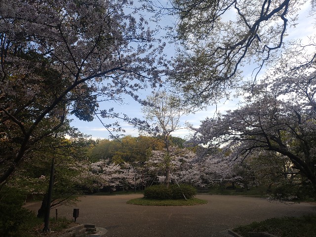 f:id:kararink:20240413071839j:image f:id:kararink:20240413071839j:image