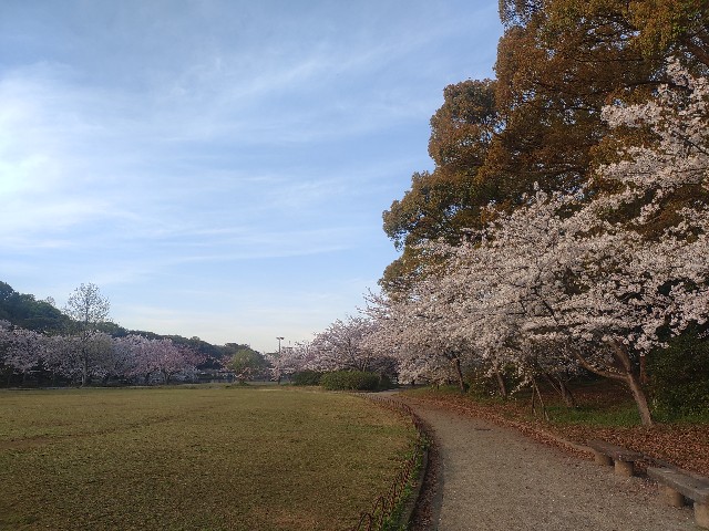f:id:kararink:20240413071924j:image f:id:kararink:20240413071924j:image