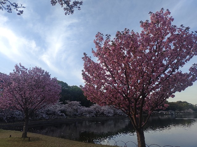 f:id:kararink:20240413072019j:image f:id:kararink:20240413072019j:image