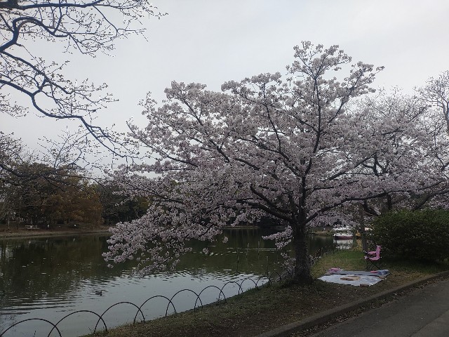 f:id:kararink:20240413072142j:image f:id:kararink:20240413072142j:image