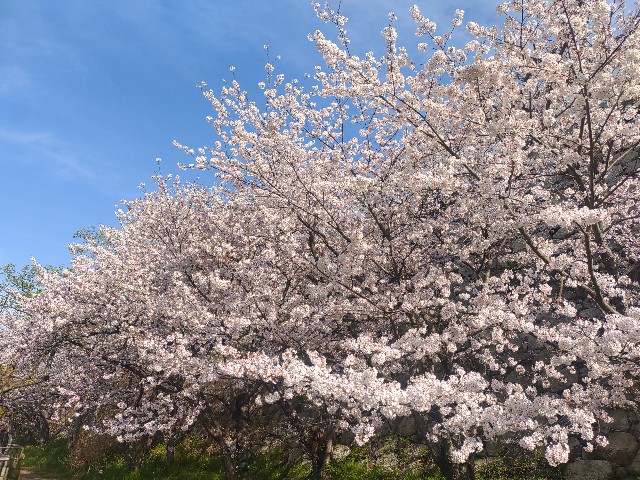 f:id:kararink:20240413095154j:image f:id:kararink:20240413095154j:image