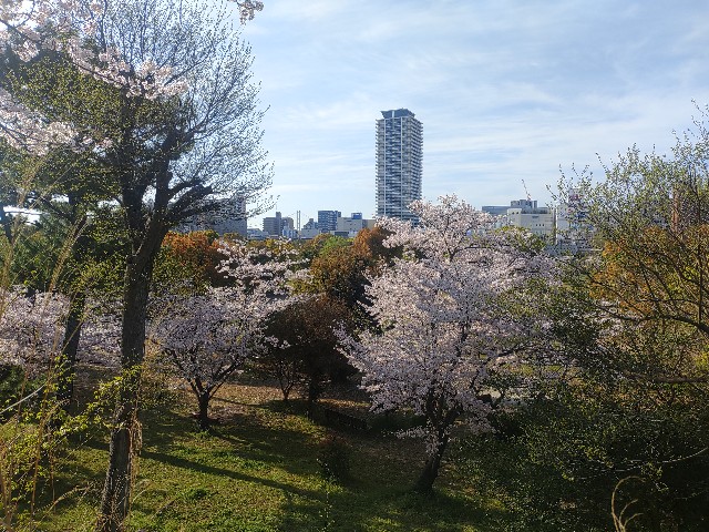 f:id:kararink:20240413095216j:image f:id:kararink:20240413095216j:image