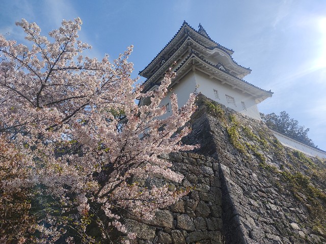 f:id:kararink:20240413095245j:image f:id:kararink:20240413095245j:image