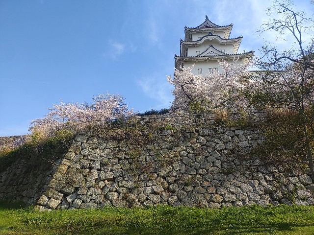 f:id:kararink:20240413095325j:image f:id:kararink:20240413095325j:image