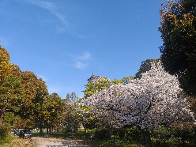 f:id:kararink:20240413095355j:image f:id:kararink:20240413095355j:image