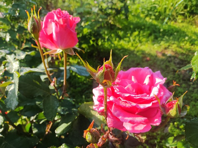 f:id:kararink:20240504105451j:image f:id:kararink:20240504105451j:image