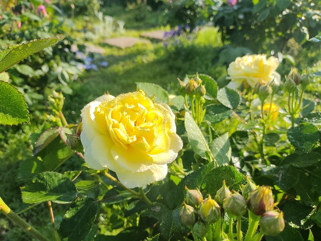 f:id:kararink:20240504105509j:image f:id:kararink:20240504105509j:image