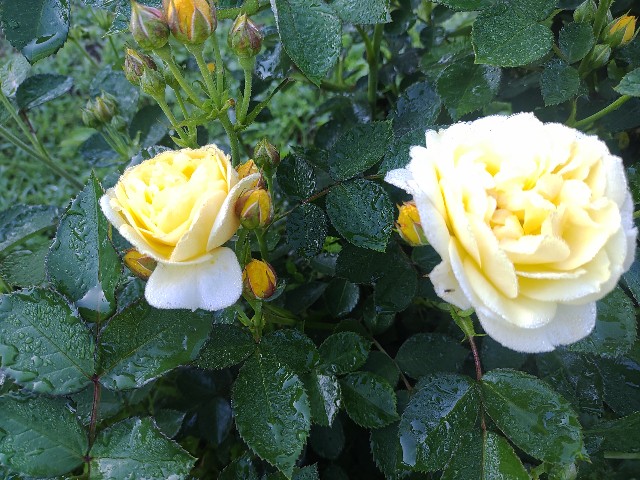 f:id:kararink:20240504105625j:image f:id:kararink:20240504105625j:image