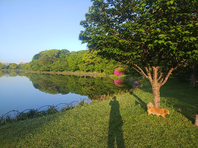 f:id:kararink:20240504105951j:image f:id:kararink:20240504105951j:image