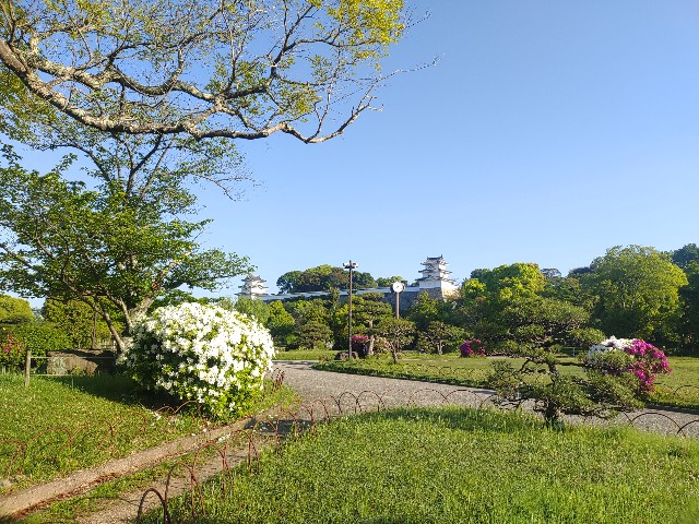 f:id:kararink:20240504110123j:image f:id:kararink:20240504110123j:image