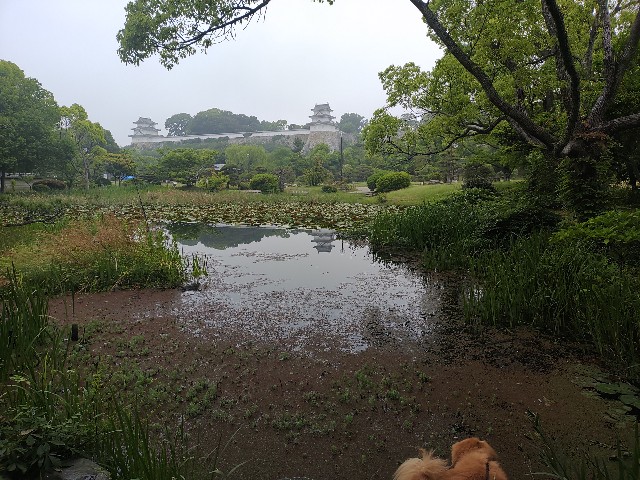 f:id:kararink:20240601160154j:image f:id:kararink:20240601160154j:image