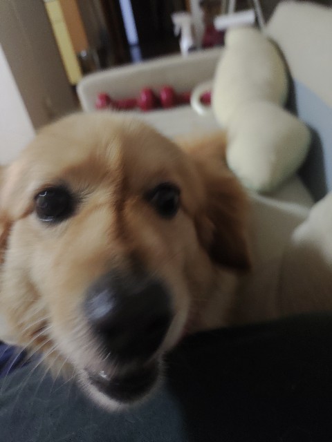 f:id:kararink:20240617184553j:image f:id:kararink:20240617184553j:image