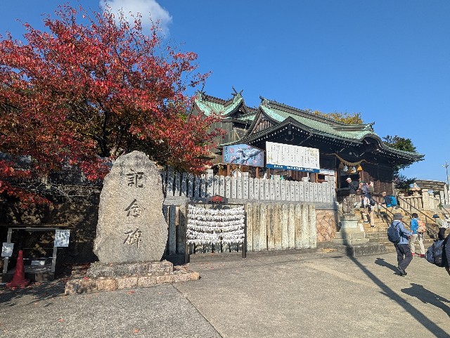 f:id:kararink:20251116180522j:image f:id:kararink:20251116180522j:image