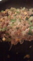 20100407213846