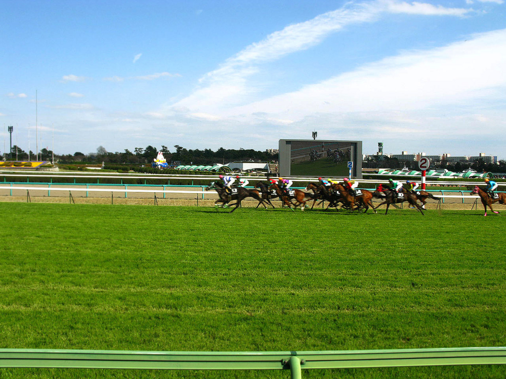 個別 競馬 中山競馬場 気持ちのいい天気 の写真 画像 写真置場 個別 競馬 中山競馬場 気持ちのいい天気 の写真 画像 写真置場