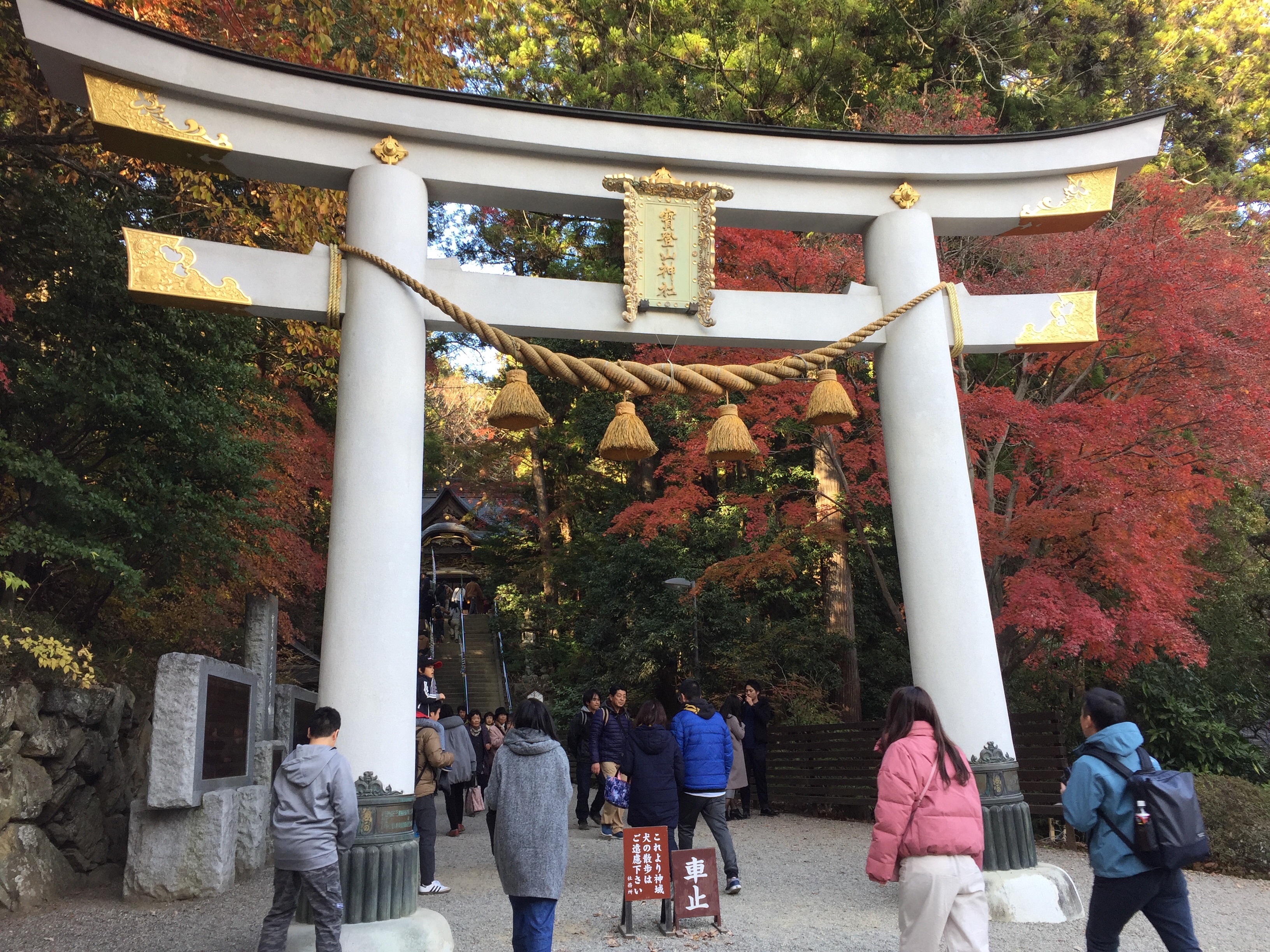 f:id:karasu483:20181222221227j:image