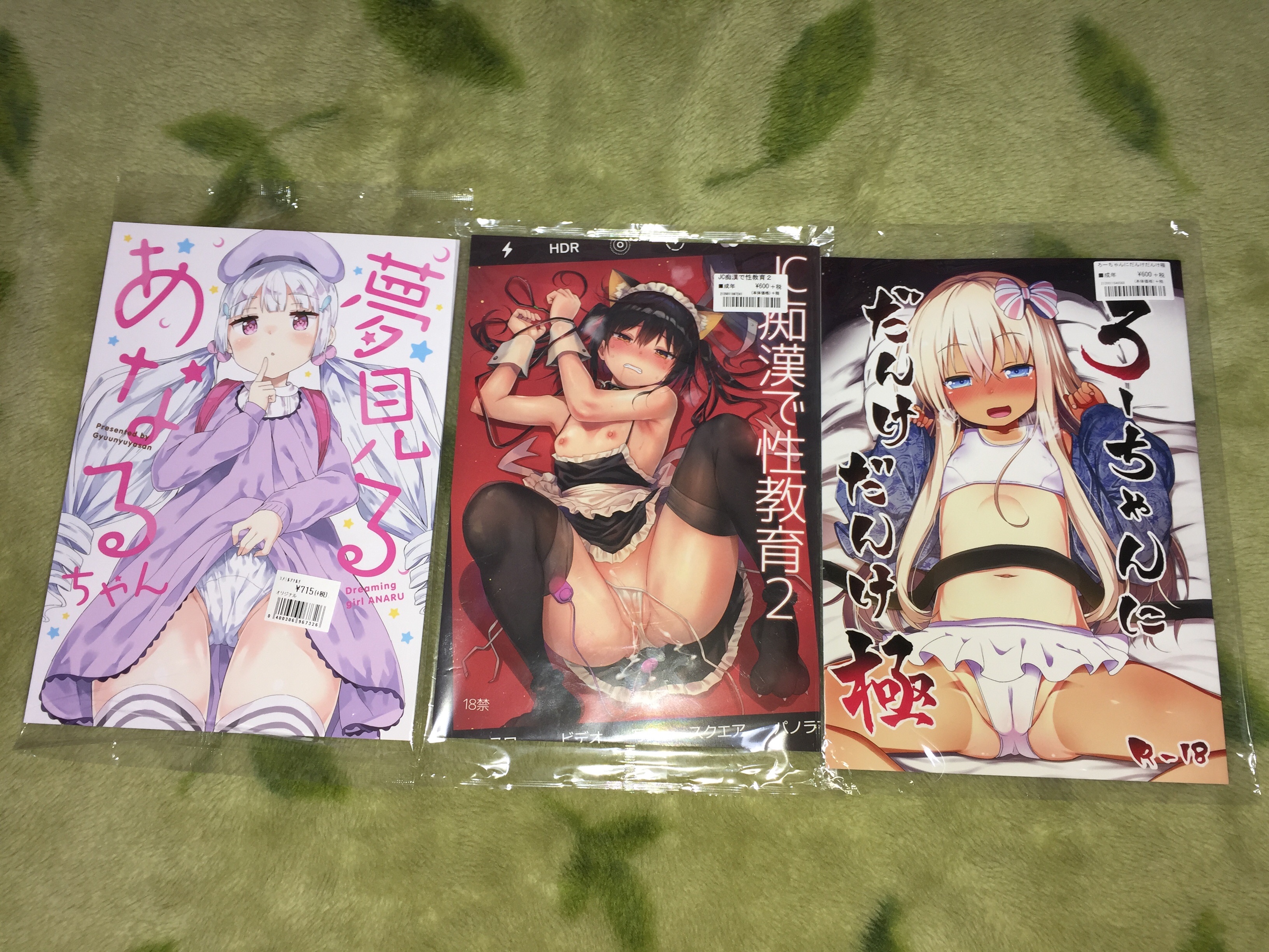f:id:karasu483:20190112211121j:image
