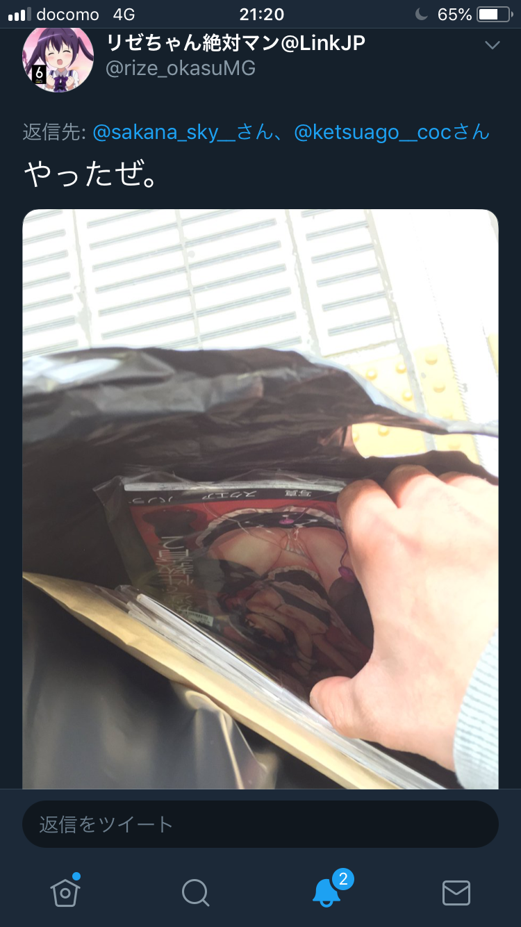 f:id:karasu483:20190112212117p:image