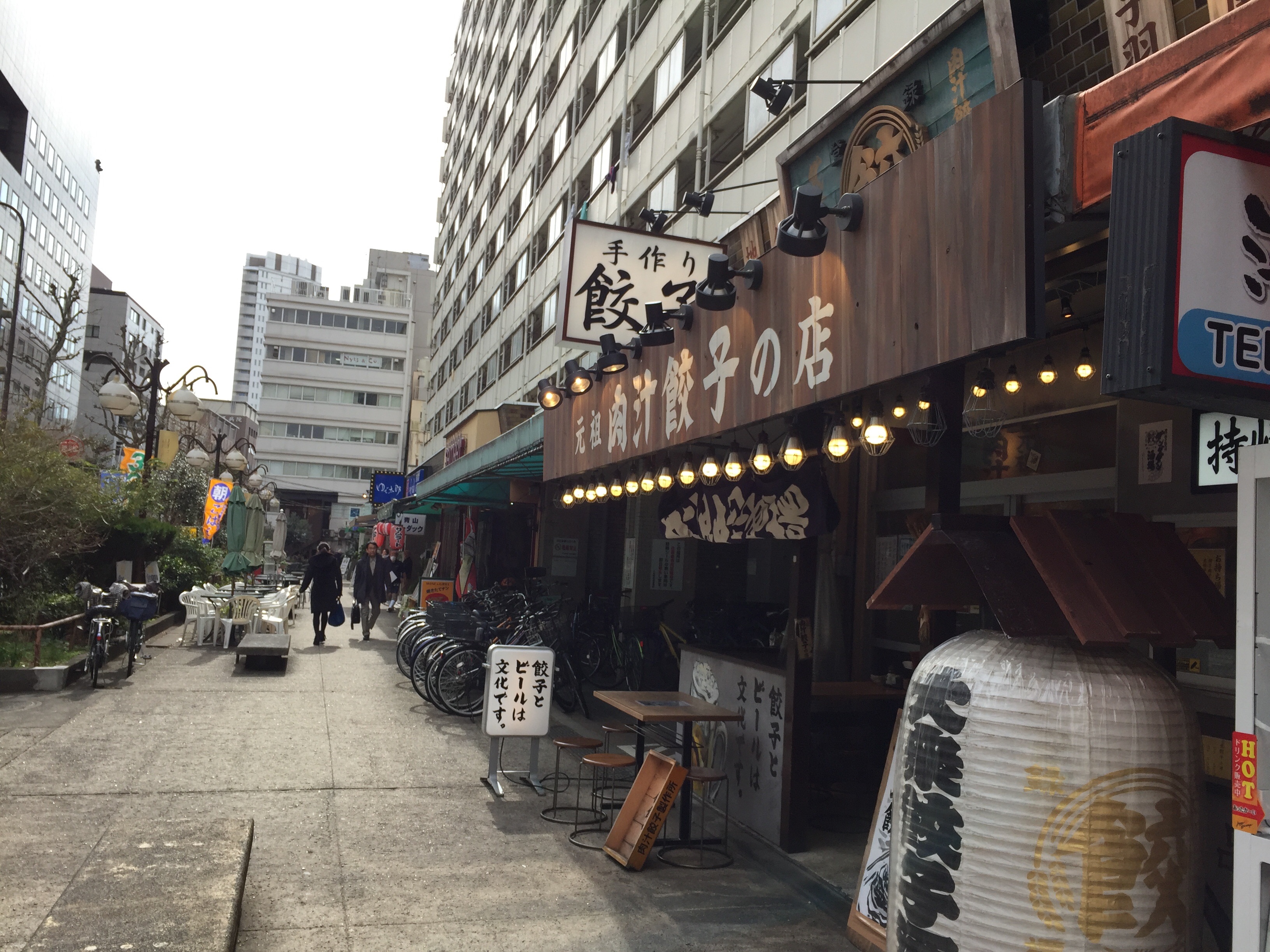 f:id:karasu483:20190215214840j:image