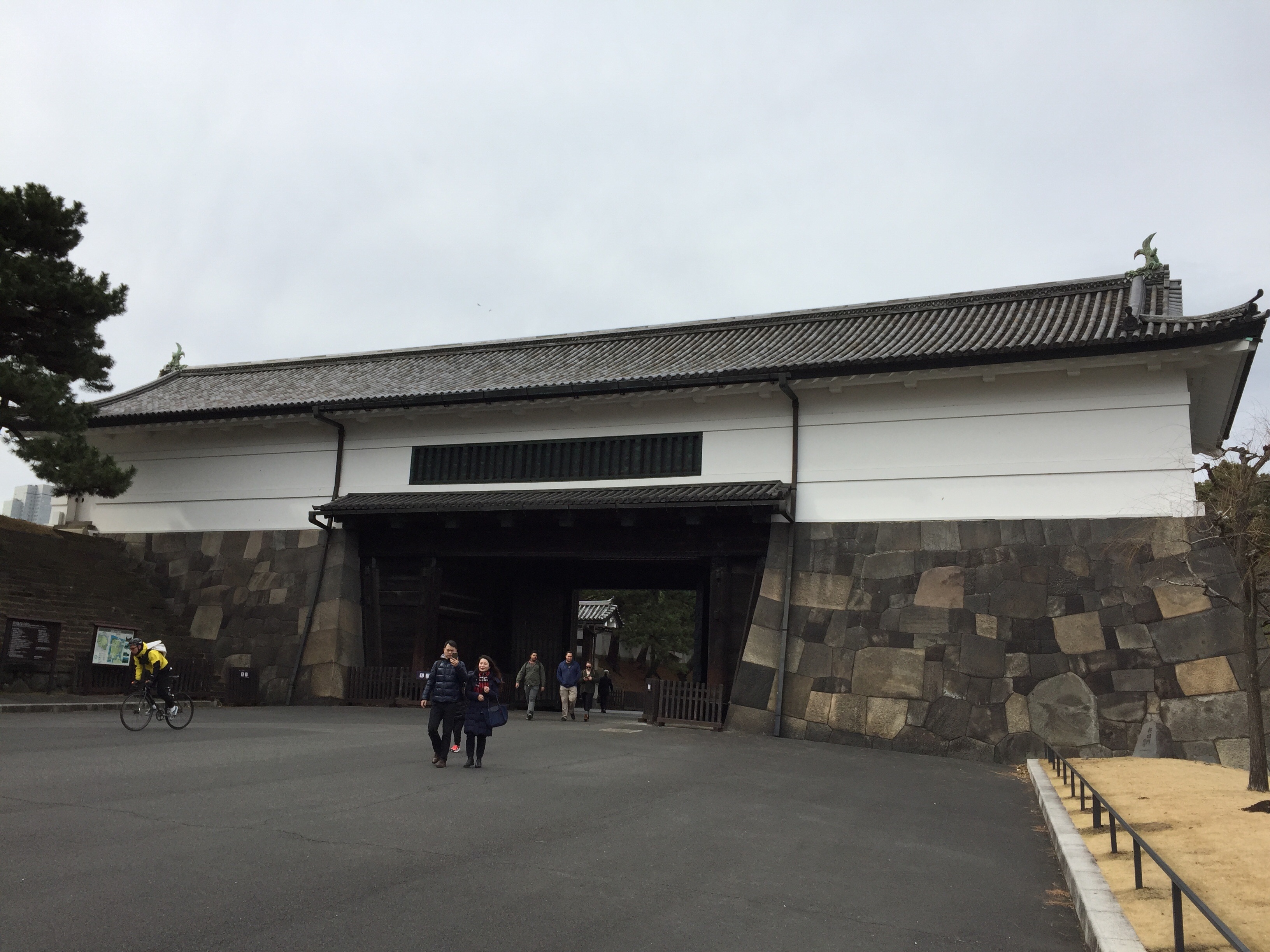 f:id:karasu483:20190215222135j:image