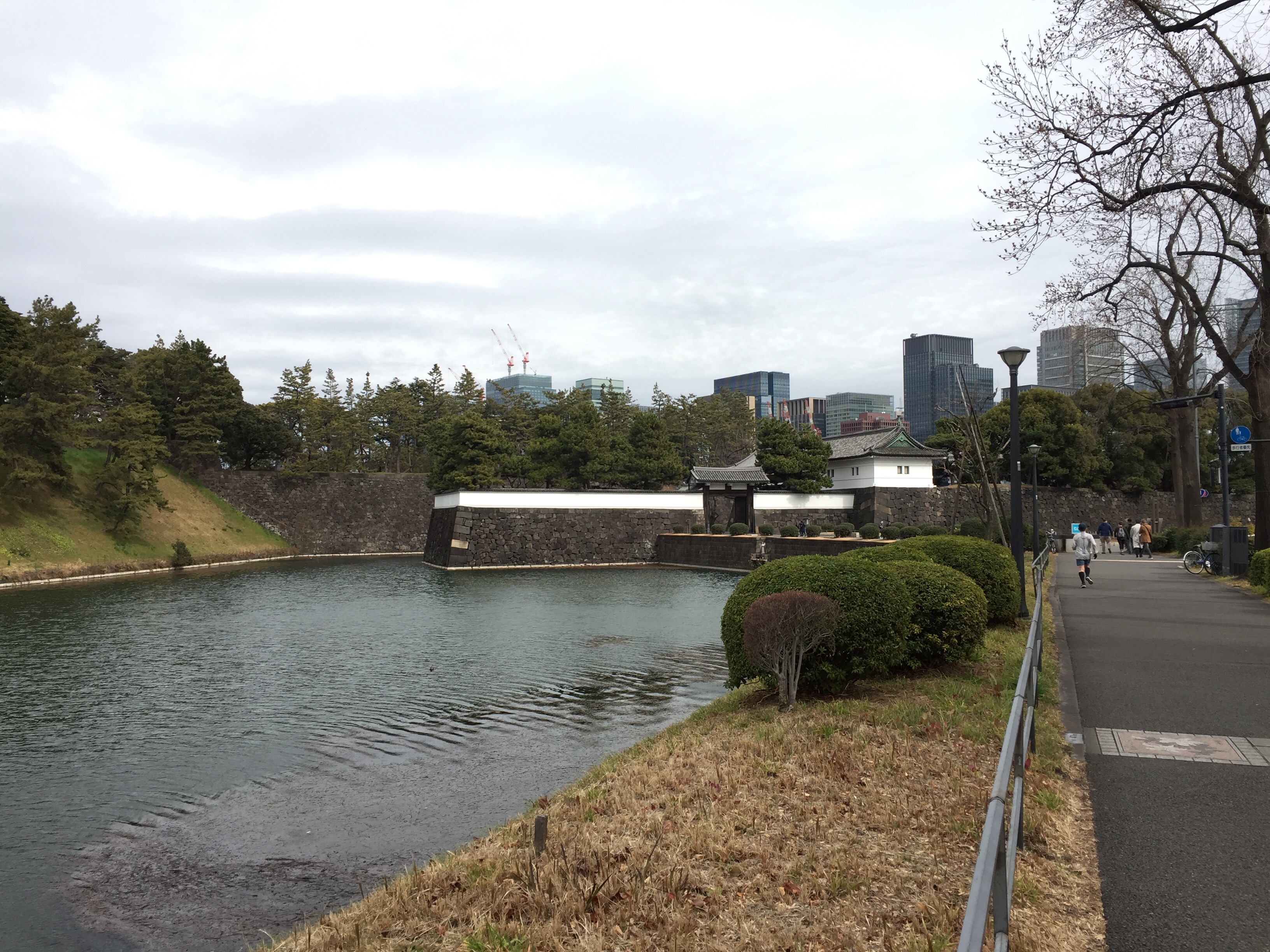 f:id:karasu483:20190215222152j:image