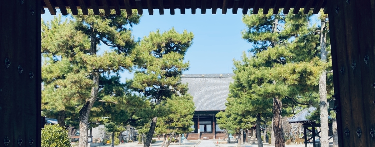 増田友也 生誕100周年記念 建築作品集 匿名配送 図録 生誕100周年記念建築作品集 増田 友也 - ノースブックセンター