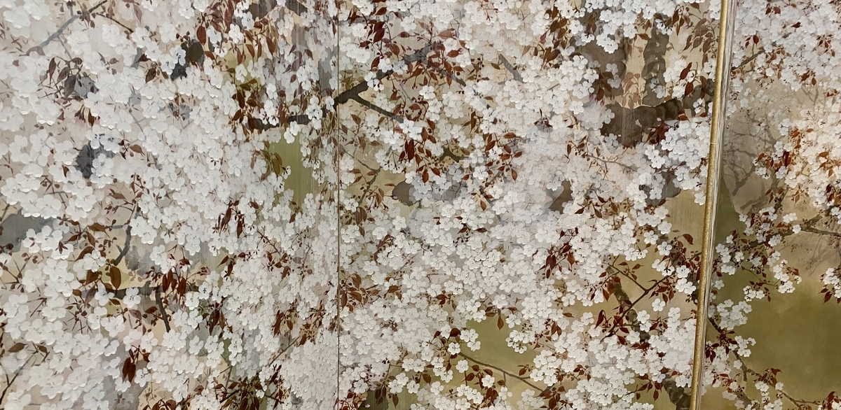 菊池芳文の「桜」 ｜京都市京セラ美術館 - 第二遊歩道ノート