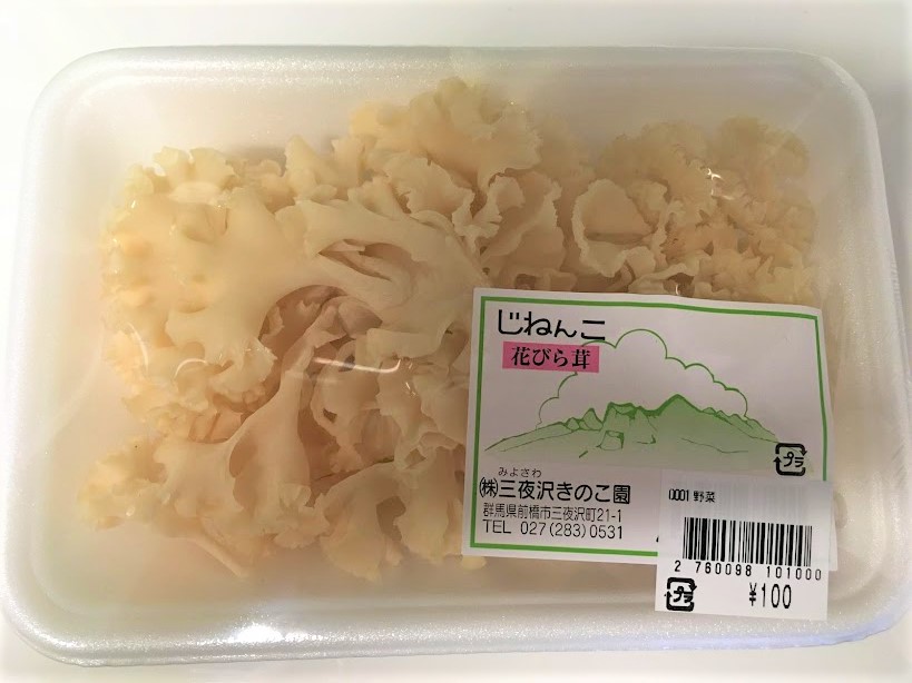 f:id:karasumako:20210402175452j:plain