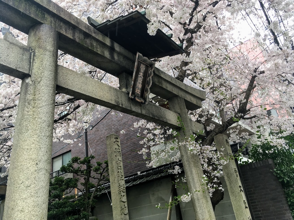 sakura