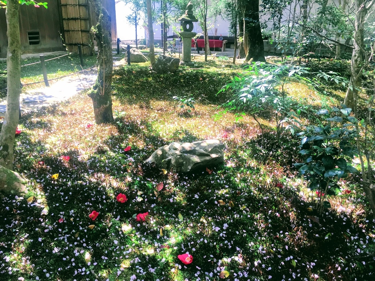 霊鑑寺の庭