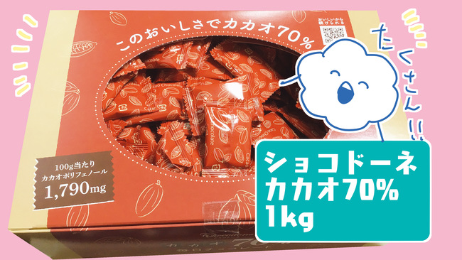 f:id:karasumi-san:20201215101407j:plain