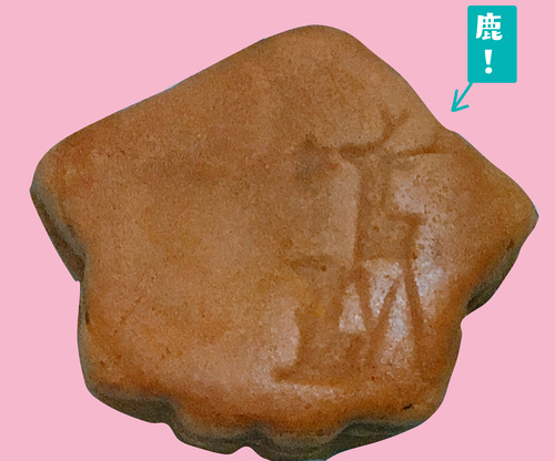 f:id:karasumi-san:20201221095349j:plain