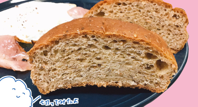 f:id:karasumi-san:20201222084451j:plain