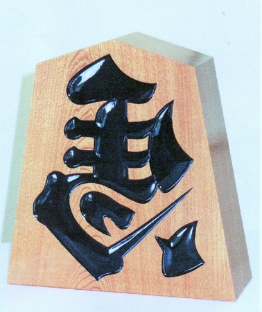 田中康晴大賞 西部支部道場日記