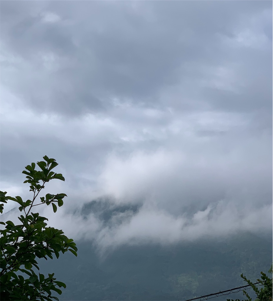 f:id:karasunohana:20190626081241j:image